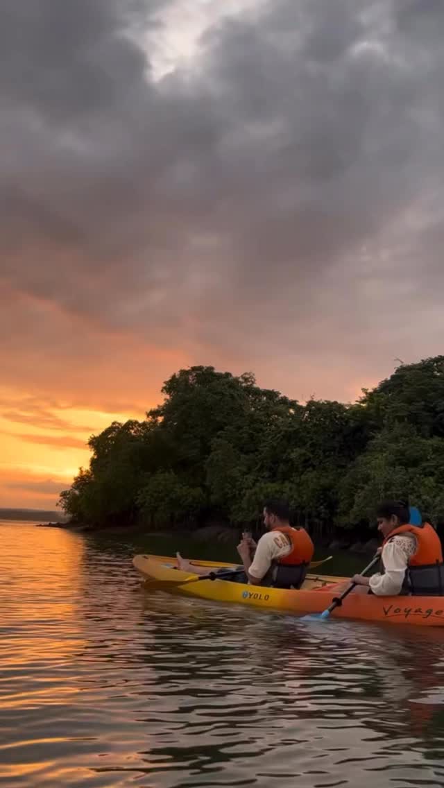 Backwater Kayaking Experience