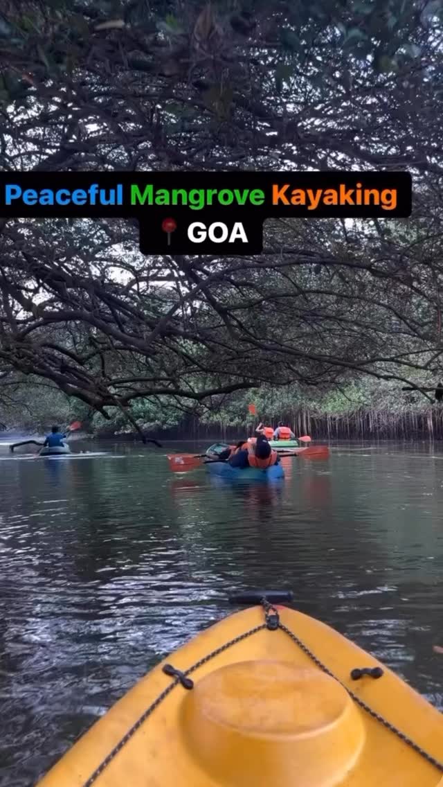 Backwater Kayaking Experience