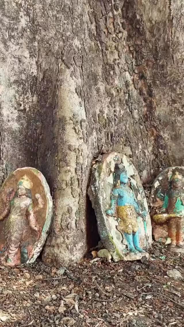 Mulgao Folk Village and Coconut-Farming Experience